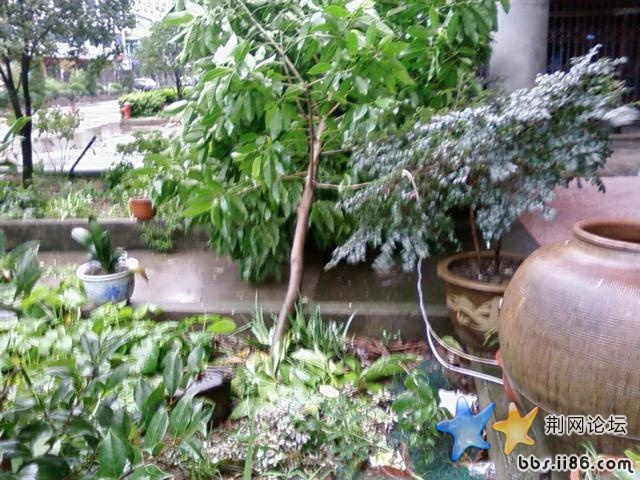 SP_A0681.jpg