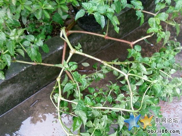 SP_A0680.jpg