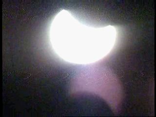 5.gif