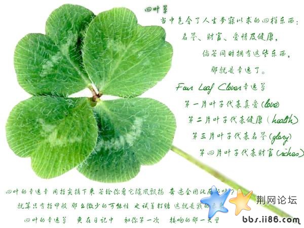 无标题.jpg