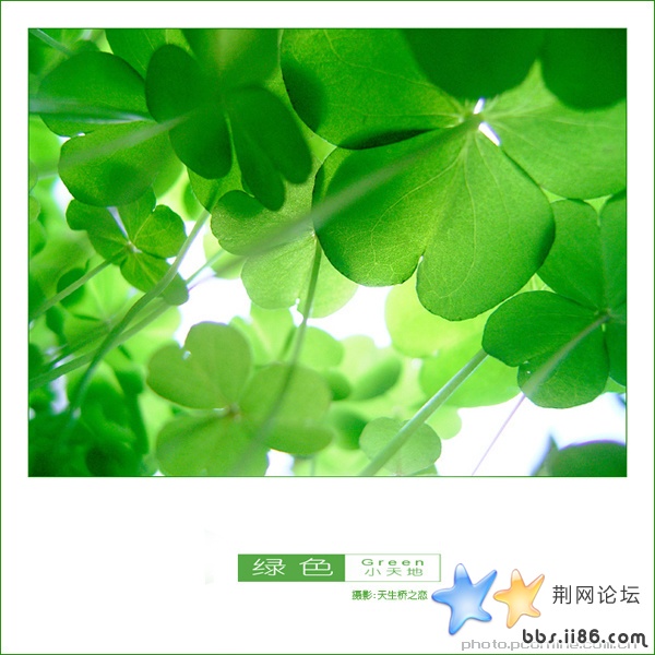 8ec8a8f39a25145c342acc1c.jpg