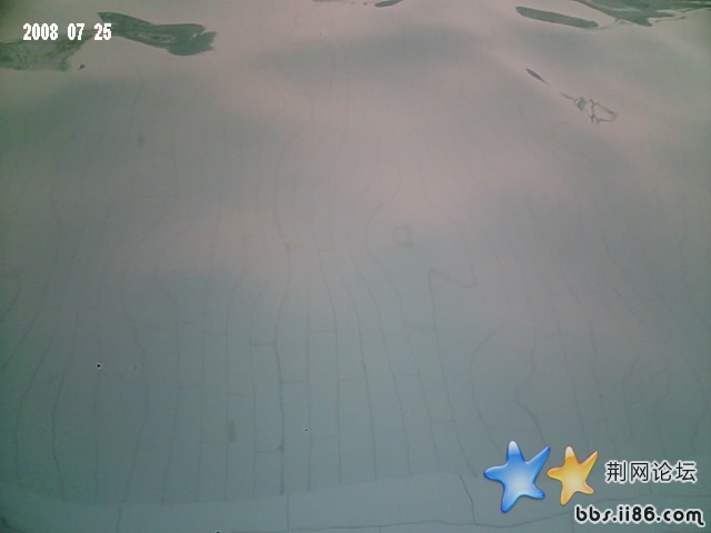 Img0012.jpg