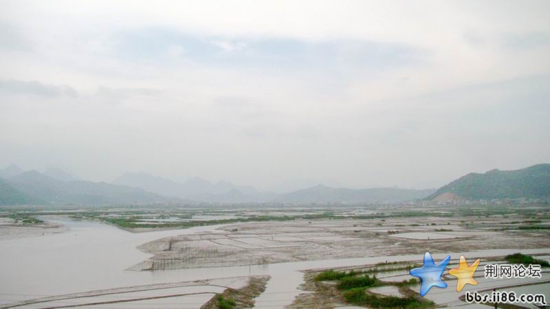滩涂.JPG