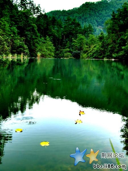 丽水风景.jpg