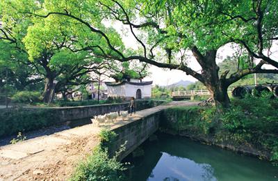 通济堰.jpg