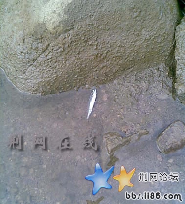 图像009.jpg