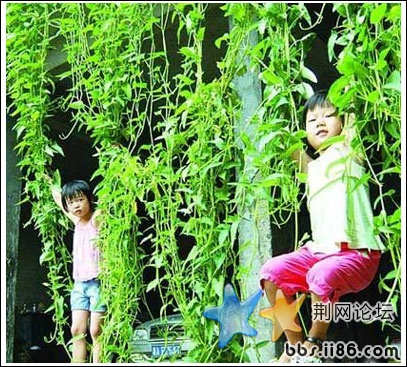 xin_e225b5321baf40afa62bc5dc32f02ad0.jpg