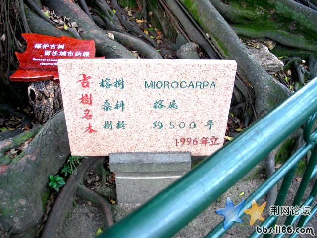 IMG_0078.JPG