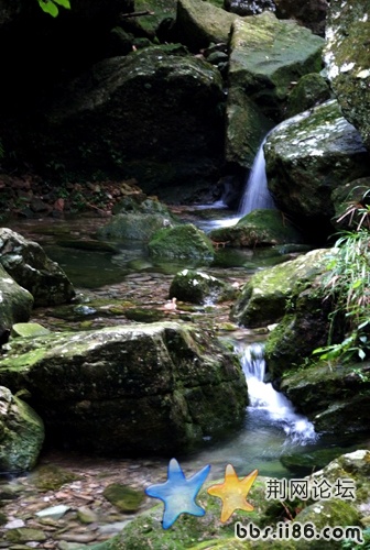 DSC_0025.jpg