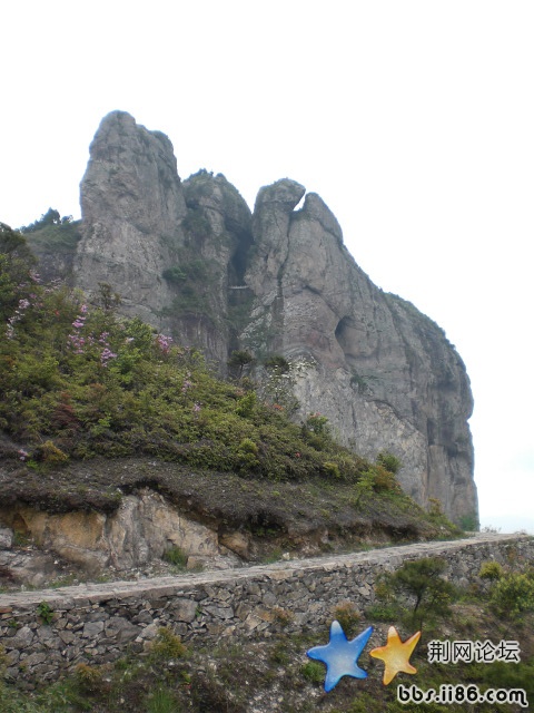 1 205.jpg