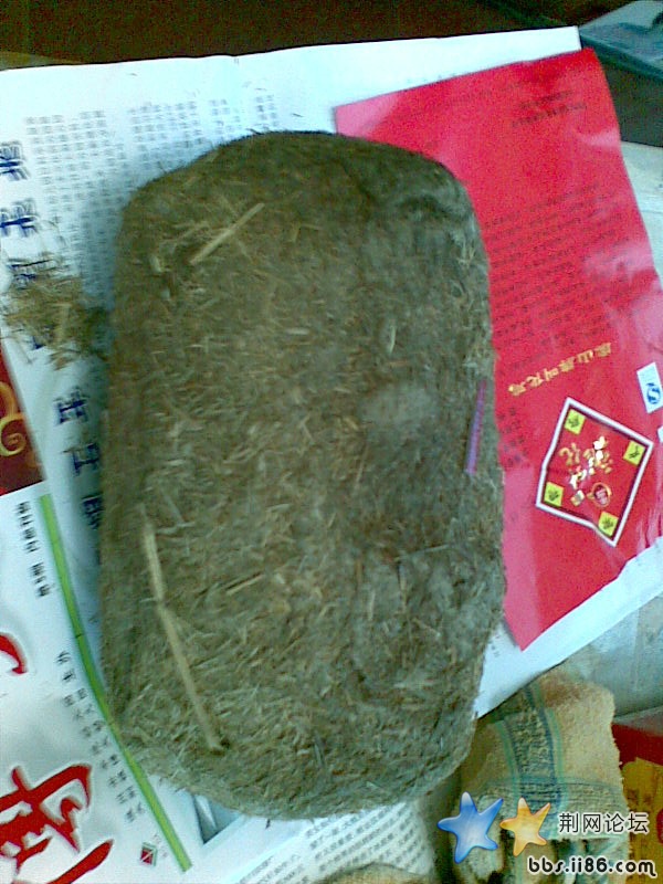 图像049.jpg