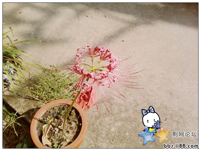 SP_A0892.jpg