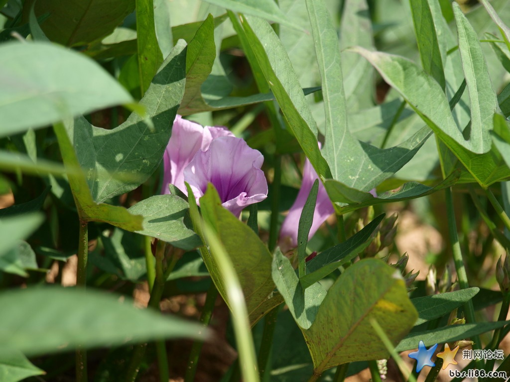 P9102833.JPG