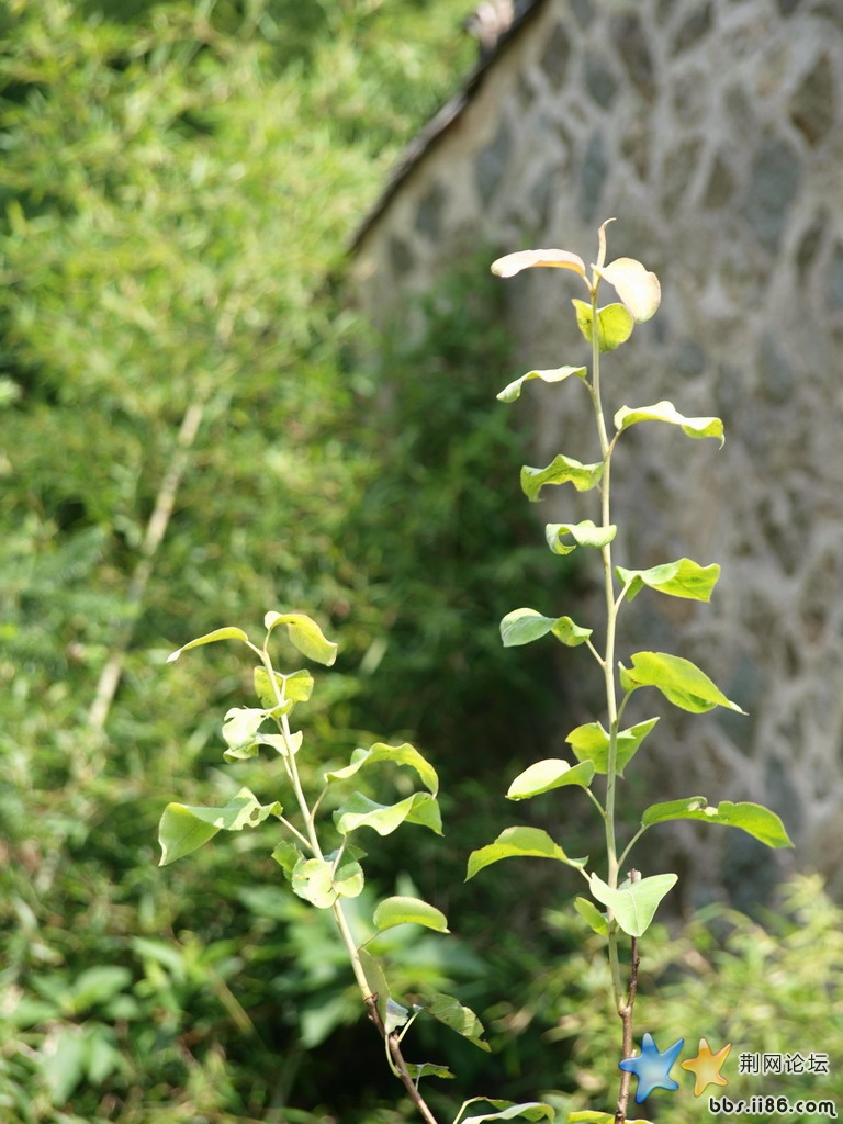 P9102835.jpg