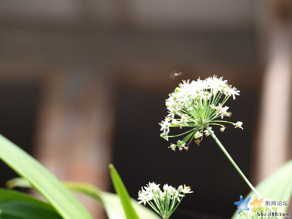 P9102842.JPG