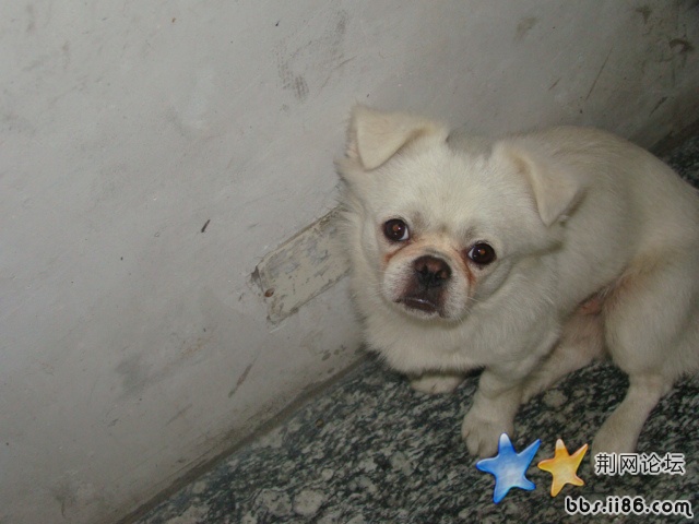 DSC00441.JPG
