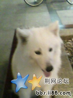 IMG0070A.jpg
