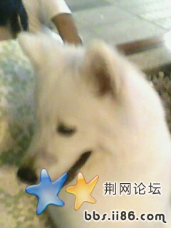 IMG0069A.jpg