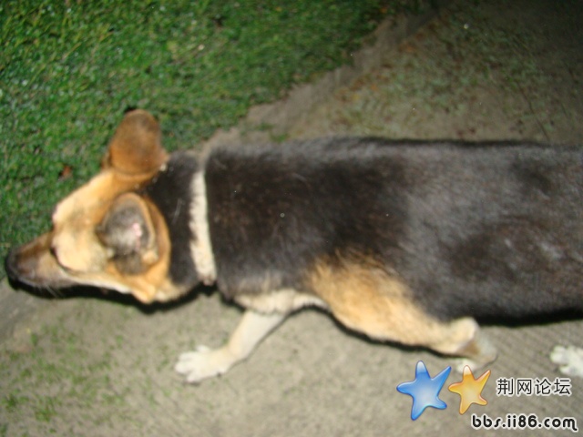 DSC00453.JPG
