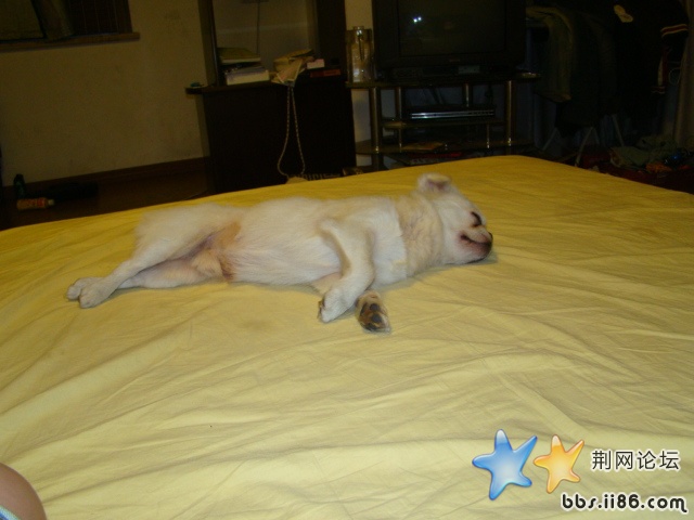 DSC00505.JPG