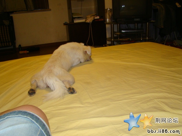 DSC00513.JPG