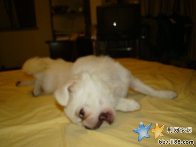 DSC00521.JPG