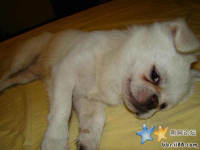 DSC00532.JPG