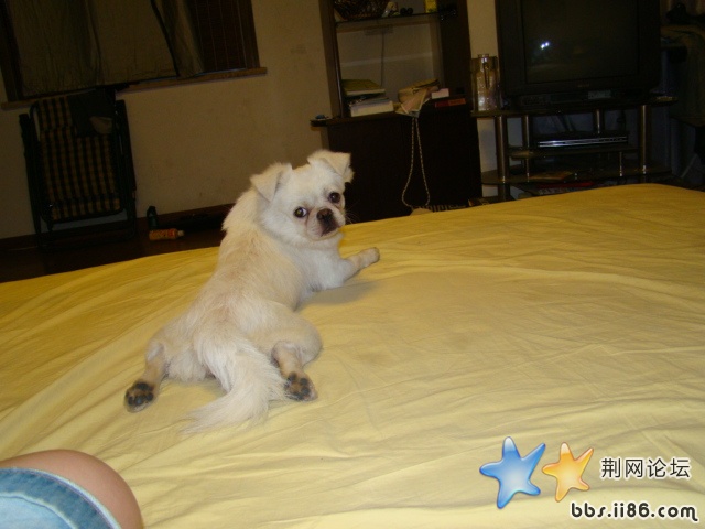 DSC00516.JPG