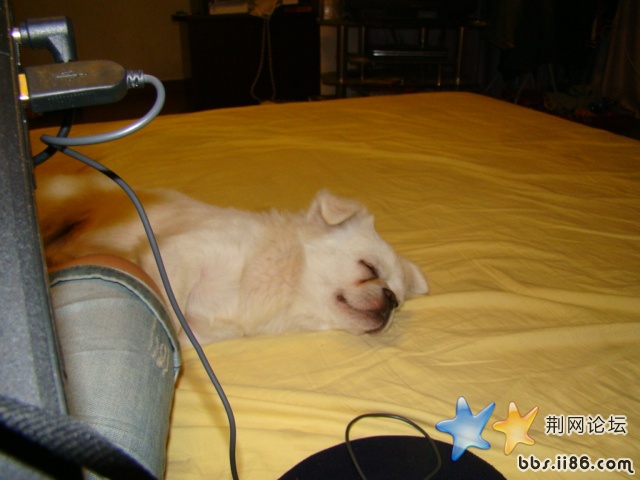 DSC00512.JPG