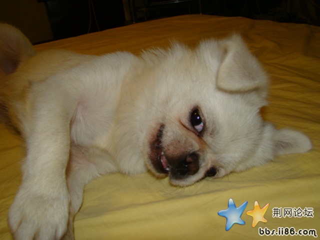 DSC00524.JPG