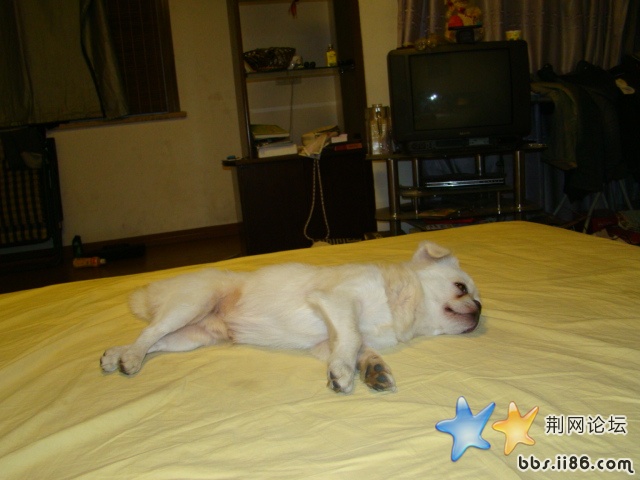 DSC00508.JPG