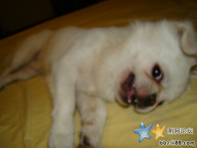 DSC00531.JPG