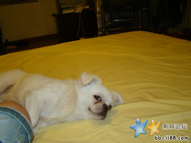 DSC00510.JPG