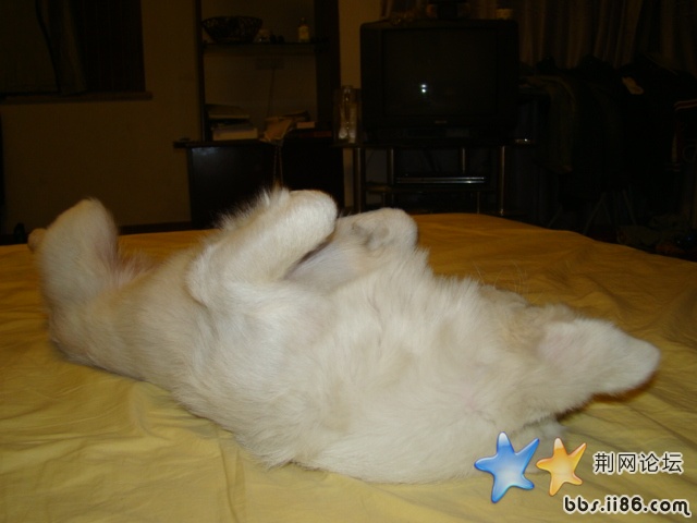 DSC00522.JPG