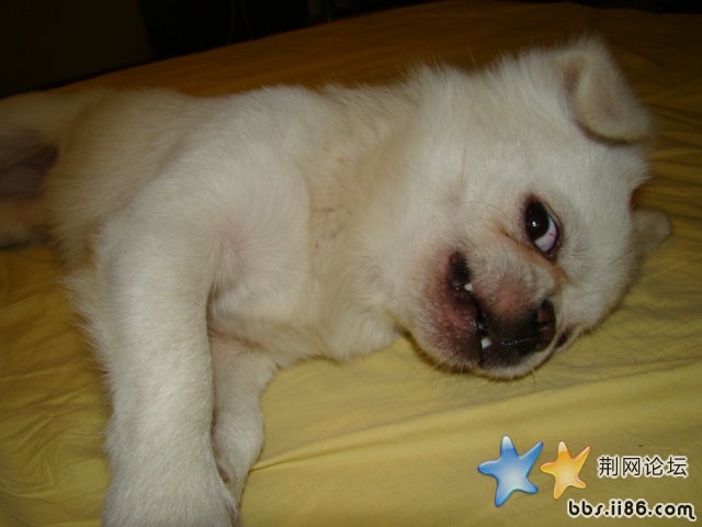 DSC00528.JPG