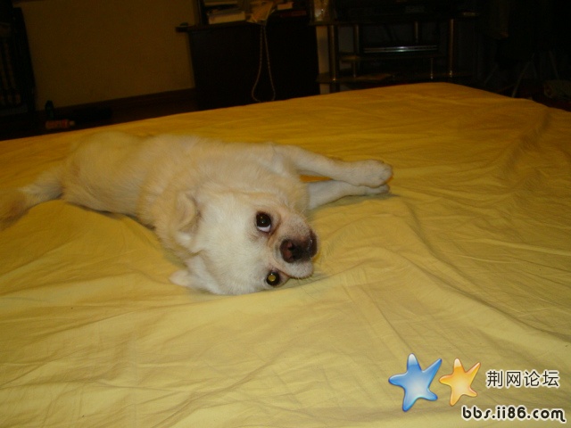 DSC00517.JPG