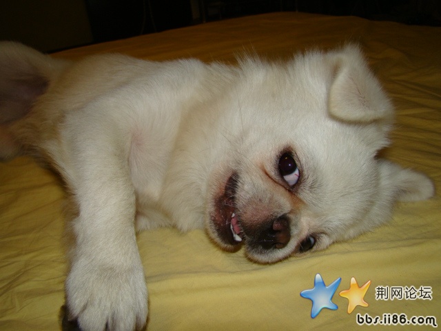 DSC00526.JPG