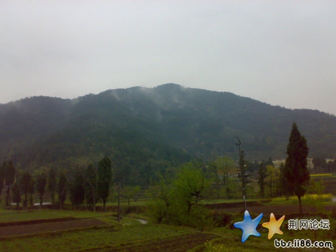 柳明花暗一村家
