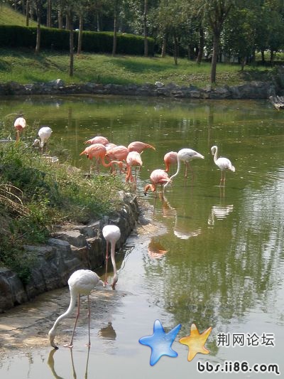 PA010179.jpg
