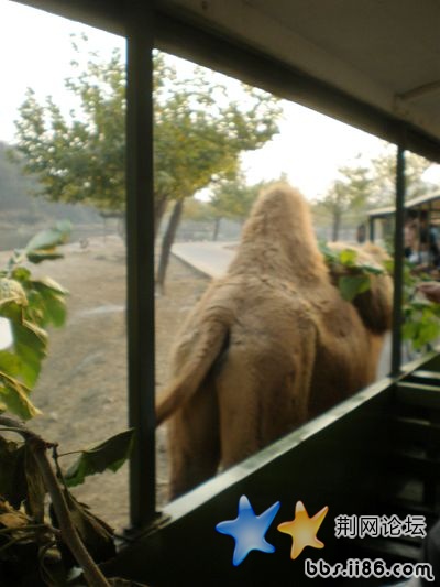 PA010354.JPG