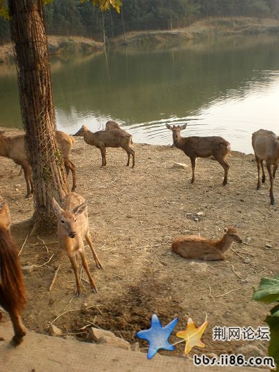 PA010351.jpg