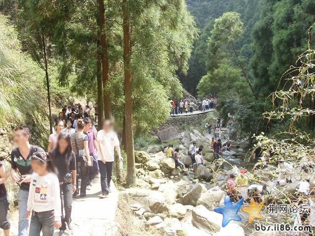 SDC11605.JPG