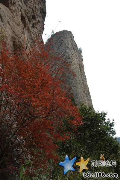 DSC_0055.JPG