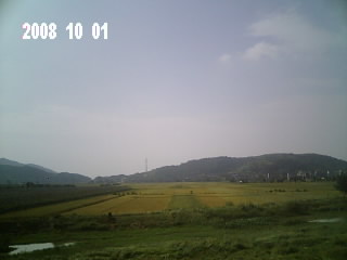 Img0008.jpg