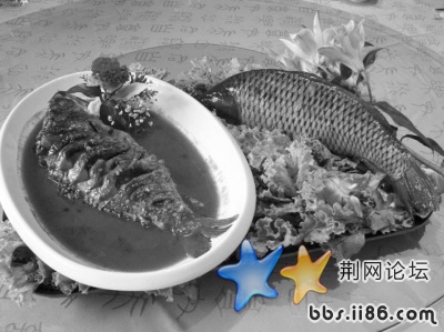 200810565219789.jpg