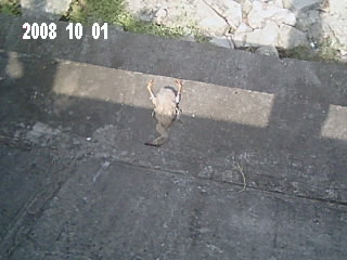 Img0012.jpg