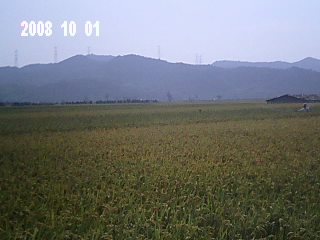 Img0014.jpg