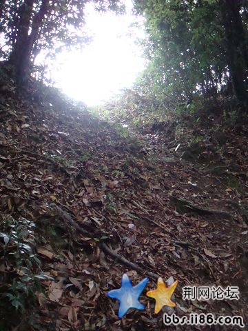 DSC05386.JPG