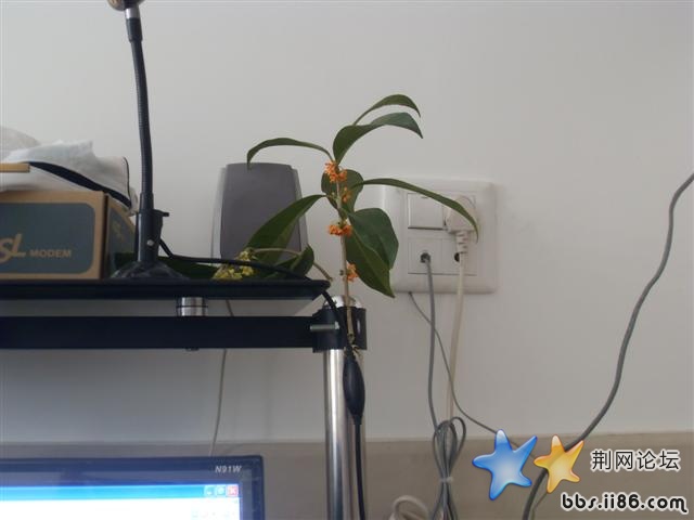 SDC11793.JPG