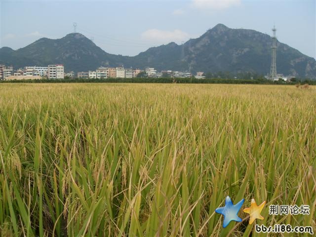 SDC11851.JPG